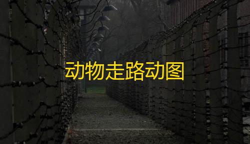 暗区突围辅助网动物走路动图